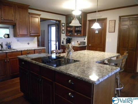2205 Eva Rd, Eva, AL 35621 photo 10