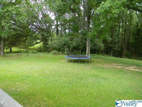 2205 Eva Rd, Eva, AL 35621 photo 39
