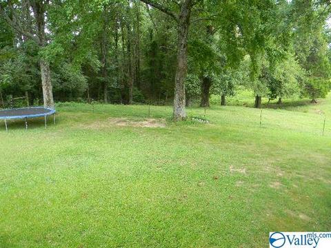 2205 Eva Rd, Eva, AL 35621 photo 41