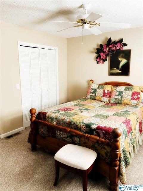462 Rock City Rd, Section, AL 35771 photo 32