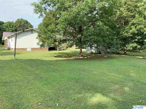 462 Rock City Rd, Section, AL 35771 photo 15