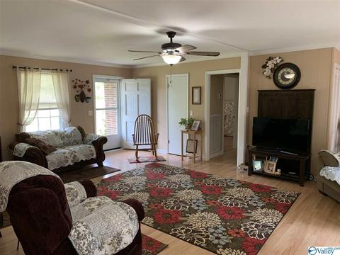 462 Rock City Rd, Section, AL 35771 photo 4
