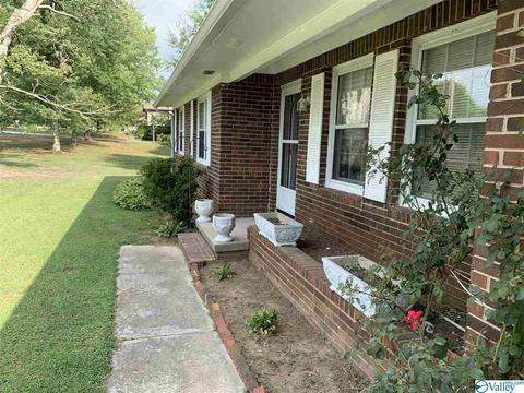 462 Rock City Rd, Section, AL 35771 photo 21