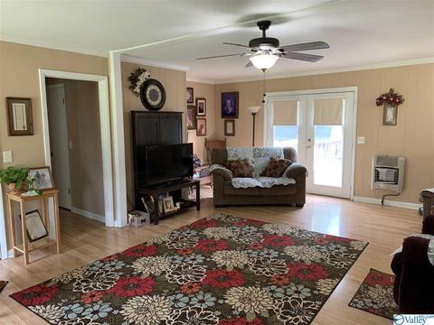 462 Rock City Rd, Section, AL 35771 photo 5