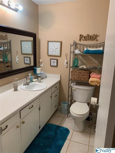 462 Rock City Rd, Section, AL 35771 photo 7