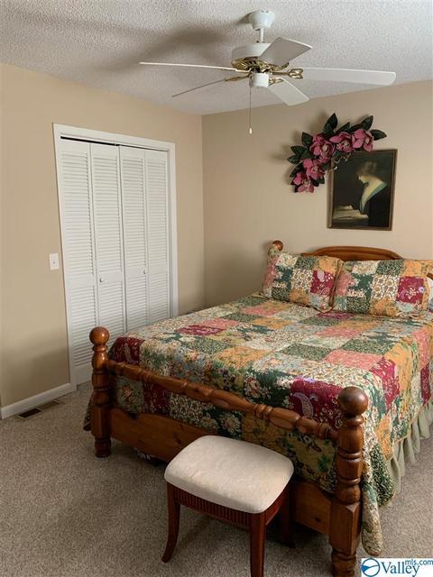 462 Rock City Rd, Section, AL 35771 photo 11
