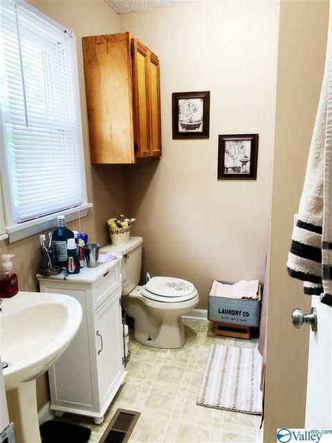 462 Rock City Rd, Section, AL 35771 photo 29
