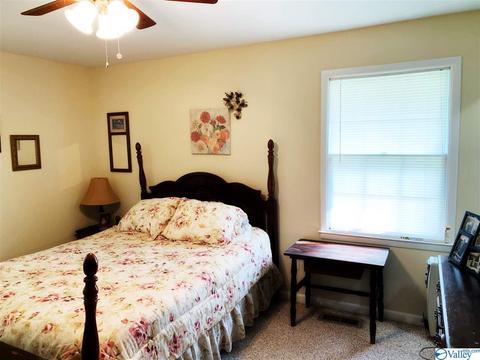 462 Rock City Rd, Section, AL 35771 photo 34