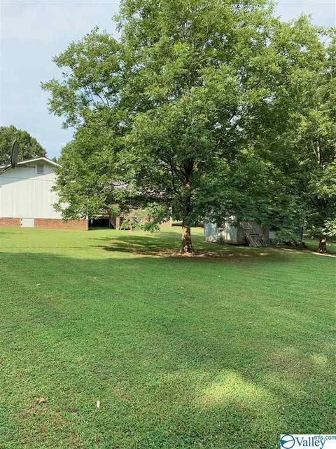 462 Rock City Rd, Section, AL 35771 photo 20
