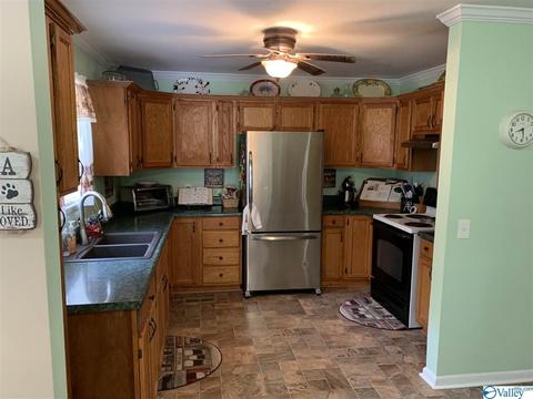 462 Rock City Rd, Section, AL 35771 photo 36