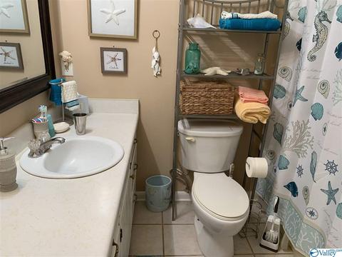462 Rock City Rd, Section, AL 35771 photo 22