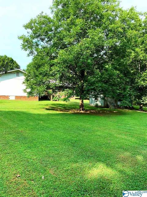 462 Rock City Rd, Section, AL 35771 photo 14