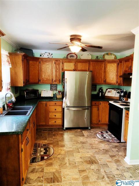 462 Rock City Rd, Section, AL 35771 photo 24