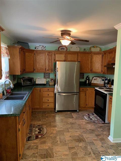462 Rock City Rd, Section, AL 35771 photo 2