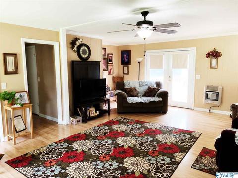 462 Rock City Rd, Section, AL 35771 photo 26