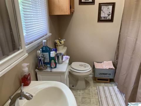 462 Rock City Rd, Section, AL 35771 photo 18