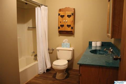 65 County Road 549, Trinity, AL 35673 photo 29