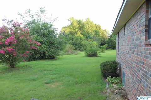 65 County Road 549, Trinity, AL 35673 photo 10