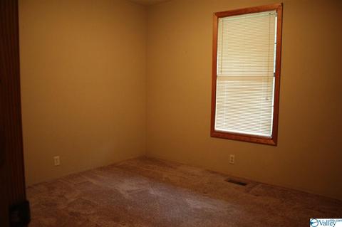 65 County Road 549, Trinity, AL 35673 photo 23