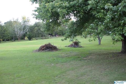 65 County Road 549, Trinity, AL 35673 photo 14