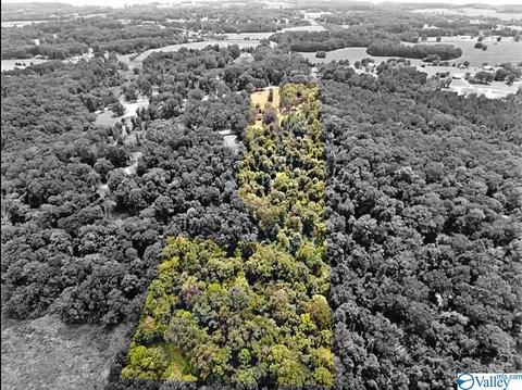 95 Dry Branch Rd, Killen, AL 35645 photo 1