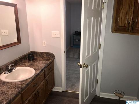 7475 County Road 214, Trinity, AL 35673 photo 9