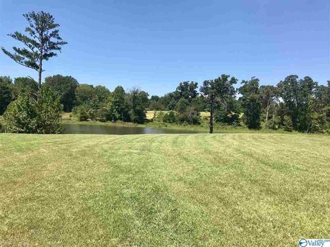 7475 County Road 214, Trinity, AL 35673 photo 17