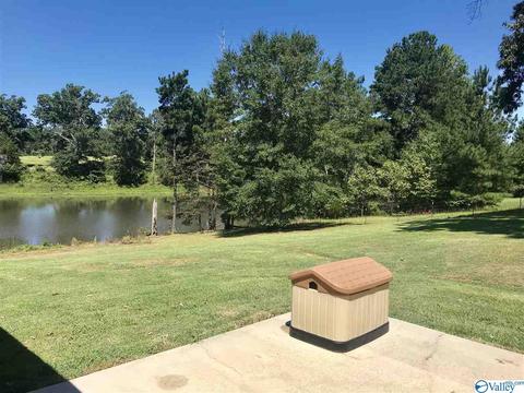 7475 County Road 214, Trinity, AL 35673 photo 16