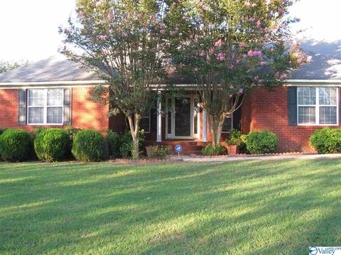 811 County Road 379, Trinity, AL 35673 photo 1