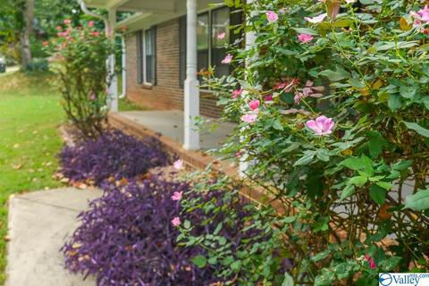 201 Andra St, Madison, AL 35758 photo 2