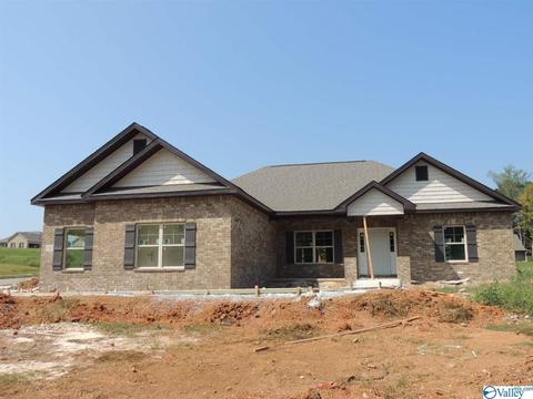 60 Hazel Green Homes for Sale - Hazel Green AL Real Estate ...
