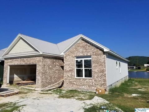 28 Windward Loop, Ohatchee, AL 36271 photo 1