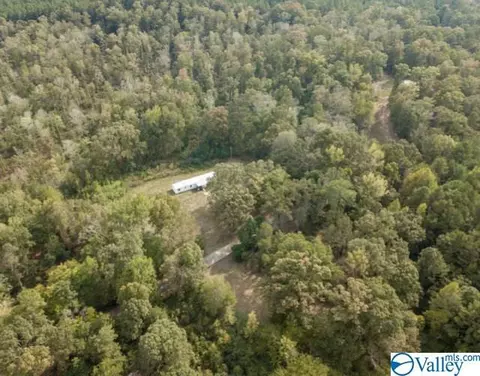 954 Evans Rd, Jasper, AL 35501 photo 1
