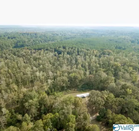 954 Evans Rd, Jasper, AL 35501 photo 4