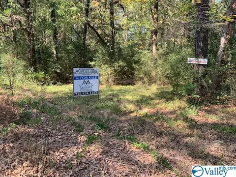 954 Evans Rd, Jasper, AL 35501 photo 11
