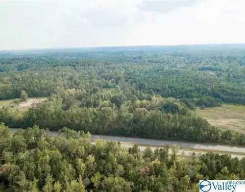 954 Evans Rd, Jasper, AL 35501 photo 2