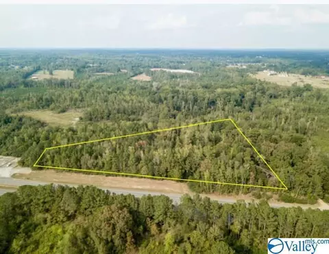 954 Evans Rd, Jasper, AL 35501 photo 5