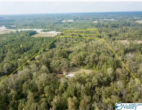 954 Evans Rd, Jasper, AL 35501 photo 3