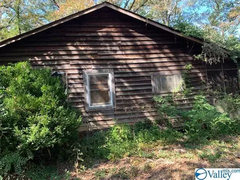 954 Evans Rd, Jasper, AL 35501 photo 8