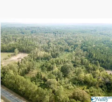 954 Evans Rd, Jasper, AL 35501 photo 6
