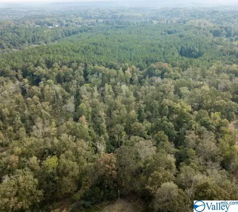 954 Evans Rd, Jasper, AL 35501 photo 12