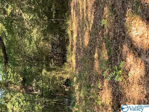 954 Evans Rd, Jasper, AL 35501 photo 15