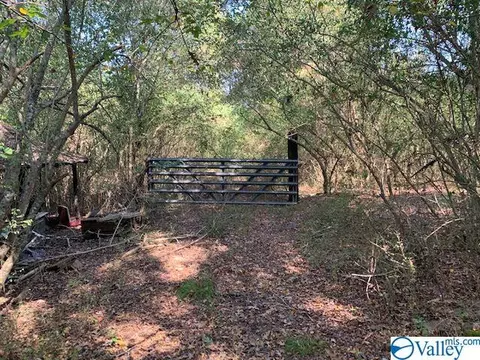954 Evans Rd, Jasper, AL 35501 photo 9