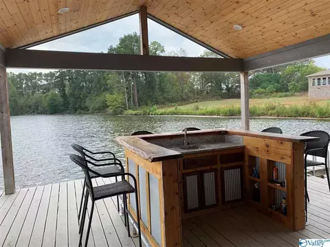 260 Sauta Loop, Langston, AL 35755 photo 6