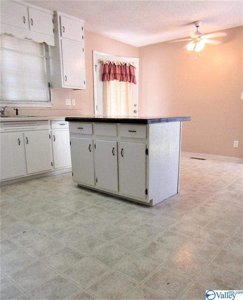 2070 Mobbs School Rd, Arab, AL 35016 photo 7