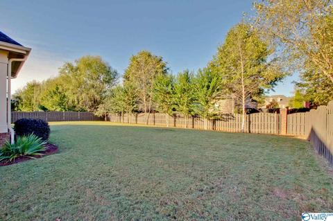 117 Appleton Ln, Madison, AL 35756 photo 44