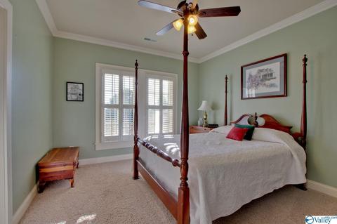 117 Appleton Ln, Madison, AL 35756 photo 31