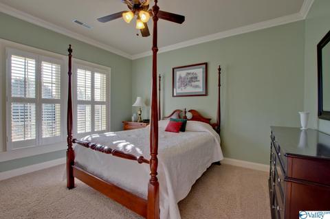 117 Appleton Ln, Madison, AL 35756 photo 30