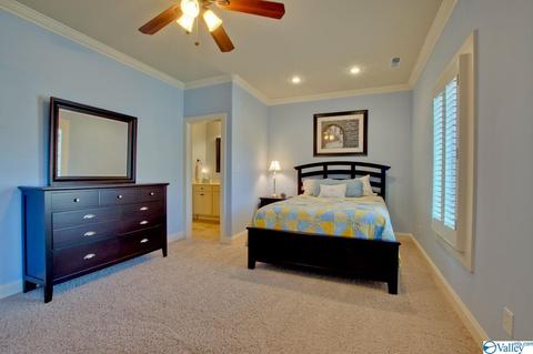 117 Appleton Ln, Madison, AL 35756 photo 34