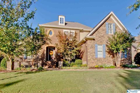 117 Appleton Ln, Madison, AL 35756 photo 1